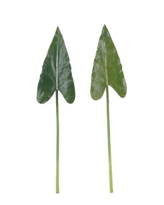 Artificial Plant 17*71cm Alocasia odora  single stem GS-50525036 2025Oct YeahFlower is one of Chinese leading OEM manufacturers and exporters , supplying the silk flowers, wholesale artificial trees