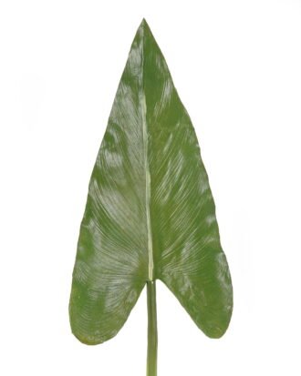 Artificial Plant 17*71cm Alocasia odora  single stem GS-50525036 2025Oct YeahFlower is one of Chinese leading OEM manufacturers and exporters , supplying the silk flowers, wholesale artificial trees