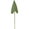 Artificial Plant Alocasia odora single stem GS-50525036_4 Artificial Plant 17*71cm Alocasia odora single stem GS-50525036 2025Oct YeahFlower is one of Chinese leading OEM manufacturers and exporters , supplying the silk flowers, wholesale artificial trees