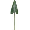 Artificial Plant Alocasia odora single stem GS-50525036_5 Artificial Plant 17*71cm Alocasia odora single stem GS-50525036 2025Oct YeahFlower is one of Chinese leading OEM manufacturers and exporters , supplying the silk flowers, wholesale artificial trees