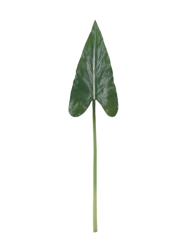 Artificial Plant Alocasia odora single stem GS-50525036_5 Artificial Plant 17*71cm Alocasia odora single stem GS-50525036 2025Oct YeahFlower is one of Chinese leading OEM manufacturers and exporters , supplying the silk flowers, wholesale artificial trees
