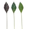 Artificial Plant Anthurium andraeanum Linden leaf single stem GS-50525071_2 Artificial Plant 16*90cm Anthurium andraeanum Linden leaf single stem GS-50525071 2025Oct YeahFlower is one of Chinese leading OEM manufacturers and exporters , supplying the silk flowers, wholesale artificial trees