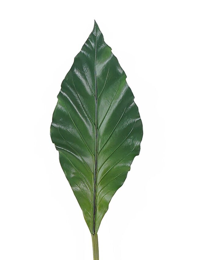 Artificial Plant Anthurium andraeanum Linden leaf single stem GS-50525071_3 Artificial Plant 16*90cm Anthurium andraeanum Linden leaf single stem GS-50525071 2025Oct YeahFlower is one of Chinese leading OEM manufacturers and exporters , supplying the silk flowers, wholesale artificial trees