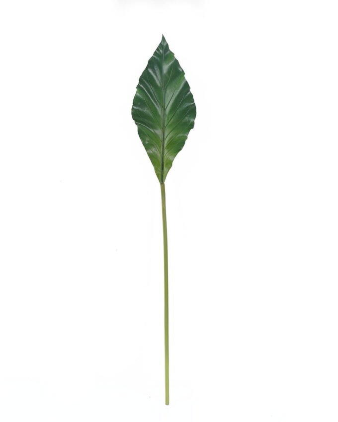 Artificial Plant Anthurium andraeanum Linden leaf single stem GS-50525071_4 Artificial Plant 16*90cm Anthurium andraeanum Linden leaf single stem GS-50525071 2025Oct YeahFlower is one of Chinese leading OEM manufacturers and exporters , supplying the silk flowers, wholesale artificial trees