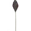 Artificial Plant Anthurium andraeanum Linden leaf single stem GS-50525071_5 Artificial Plant 16*90cm Anthurium andraeanum Linden leaf single stem GS-50525071 2025Oct YeahFlower is one of Chinese leading OEM manufacturers and exporters , supplying the silk flowers, wholesale artificial trees