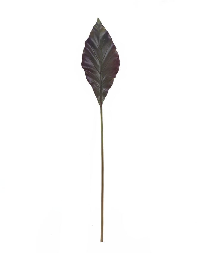 Artificial Plant Anthurium andraeanum Linden leaf single stem GS-50525071_5 Artificial Plant 16*90cm Anthurium andraeanum Linden leaf single stem GS-50525071 2025Oct YeahFlower is one of Chinese leading OEM manufacturers and exporters , supplying the silk flowers, wholesale artificial trees