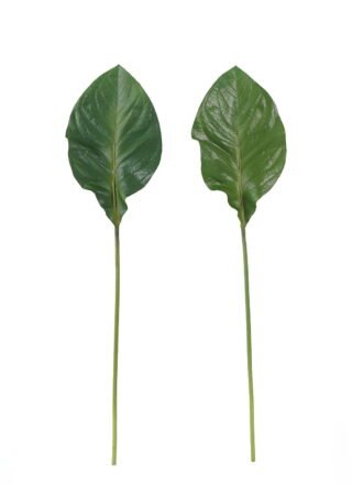 Artificial Plant 19*106cm Strelitzia reginae Aiton leaf single stem GS-50525066 2025Oct 3,000+ sqm showroom with thousands of artificial flowers, plants & trees ready for global sourcing.