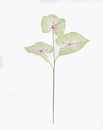 Artificial Plant 26*26*93cm Caladium *3 bush GS-70325007-G5 2025Oct YeahFlower is one of Chinese leading OEM manufacturers and exporters , supplying the silk flowers, wholesale artificial trees Artificial Plant 26*26*93cm Caladium *3 bush GS-70325007-G5 2025Oct YeahFlower is one of Chinese leading OEM manufacturers and exporters , supplying the silk flowers, wholesale artificial trees