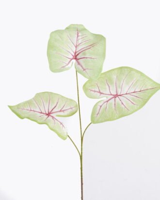 Artificial Plant 26*26*93cm Caladium *3 bush GS-70325007-G5 2025Oct YeahFlower is one of Chinese leading OEM manufacturers and exporters , supplying the silk flowers, wholesale artificial trees Artificial Plant 26*26*93cm Caladium *3 bush GS-70325007-G5 2025Oct YeahFlower is one of Chinese leading OEM manufacturers and exporters , supplying the silk flowers, wholesale artificial trees