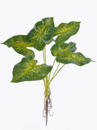 Artificial Plant 30*30*64cm Caladium *7 bush GS-70325006CT-Z1 2025Oct 3,000+ sqm showroom with thousands of artificial flowers, plants & trees ready for global sourcing.