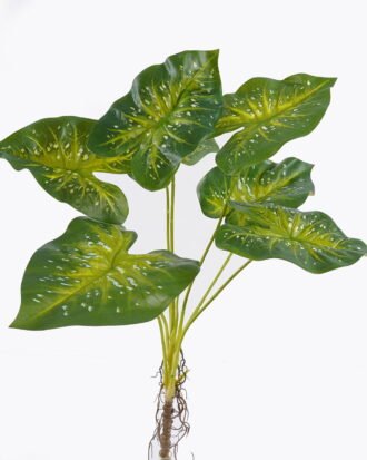 Artificial Plant 30*30*64cm Caladium *7 bush GS-70325006CT-G1 2025Oct YeahFlower is one of Chinese leading OEM manufacturers and exporters , supplying the silk flowers, wholesale artificial trees Artificial Plant 30*30*64cm Caladium *7 bush GS-70325006CT-G1 2025Oct YeahFlower is one of Chinese leading OEM manufacturers and exporters , supplying the silk flowers, wholesale artificial trees