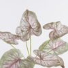 Artificial Plant Caladium 7 bush GS-70325006CT-Z1_4 Artificial Plant 30*30*64cm Caladium *7 bush GS-70325006CT-Z1 2025Oct YeahFlower is one of Chinese leading OEM manufacturers and exporters , supplying the silk flowers, wholesale artificial trees