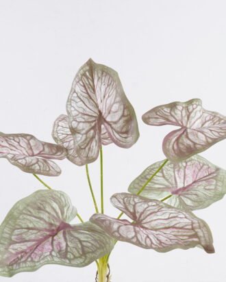 Artificial Plant 30*30*64cm Caladium *7 bush GS-70325006CT-Z1 2025Oct YeahFlower is one of Chinese leading OEM manufacturers and exporters , supplying the silk flowers, wholesale artificial trees Artificial Plant 30*30*64cm Caladium *7 bush GS-70325006CT-Z1 2025Oct YeahFlower is one of Chinese leading OEM manufacturers and exporters , supplying the silk flowers, wholesale artificial trees