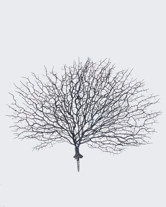 Artificial Plant 50*40CM Christmas Coral GS-4150027-B1 2025Oct YeahFlower is one of Chinese leading OEM manufacturers and exporters , supplying the silk flowers, wholesale artificial trees