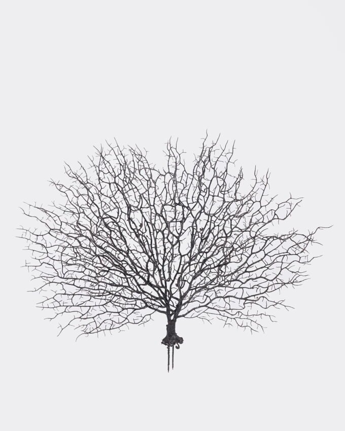 Artificial Plant 50*40CM Christmas Coral GS-4150027-B1 2025Oct YeahFlower is one of Chinese leading OEM manufacturers and exporters , supplying the silk flowers, wholesale artificial trees