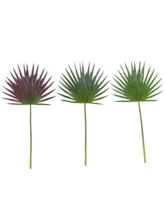 Artificial Plant 24*72cm heart-shaped livistona chinensis single stem GS-50525062 2025Oct 3,000+ sqm showroom with thousands of artificial flowers, plants & trees ready for global sourcing.