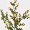 Artificial Plant 21*21*64cm Eucalyptus *29 single stem GS-17725050 2025SEP YeahFlower is one of Chinese leading OEM manufacturers and exporters , supplying the silk flowers, wholesale artificial trees