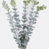 Artificial Plant 20*20*46cm Eucalyptus *5 bush GS-17725060 2025SEP YeahFlower is one of Chinese leading OEM manufacturers and exporters , supplying the silk flowers, wholesale artificial trees
