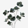 Artificial Plant Eucalyptus 6 single stem GS-80425003-G1_5 Artificial Plant 42*42*118cm Eucalyptus *6 single stem GS-80425003-G1 2025Oct YeahFlower is one of Chinese leading OEM manufacturers and exporters , supplying the silk flowers, wholesale artificial trees