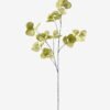 Artificial Plant Eucalyptus 6 single stem GS-80425003-G2_1 Artificial Plant 42*42*118cm Eucalyptus *6 single stem GS-80425003-G2 2025Oct YeahFlower is one of Chinese leading OEM manufacturers and exporters , supplying the silk flowers, wholesale artificial trees