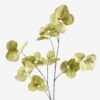 Artificial Plant Eucalyptus 6 single stem GS-80425003-G2_4 Artificial Plant 42*42*118cm Eucalyptus *6 single stem GS-80425003-G2 2025Oct YeahFlower is one of Chinese leading OEM manufacturers and exporters , supplying the silk flowers, wholesale artificial trees