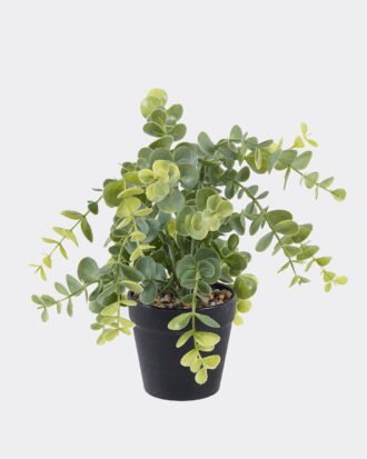Artificial Plant 25*25*25cm Eucalyptus in PP pot GS-17725049 2025SEP YeahFlower is one of Chinese leading OEM manufacturers and exporters , supplying the silk flowers, wholesale artificial trees