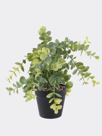 Artificial Plant 21*21*64cm Eucalyptus *29 single stem GS-17725050 2025SEP 3,000+ sqm showroom with thousands of artificial flowers, plants & trees ready for global sourcing.