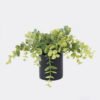 Artificial Plant Eucalyptus in PP pot GS-17725056_1 Artificial Plant 24*24*15cm Eucalyptus in PP pot GS-17725056 2025SEP YeahFlower is one of Chinese leading OEM manufacturers and exporters , supplying the silk flowers, wholesale artificial trees