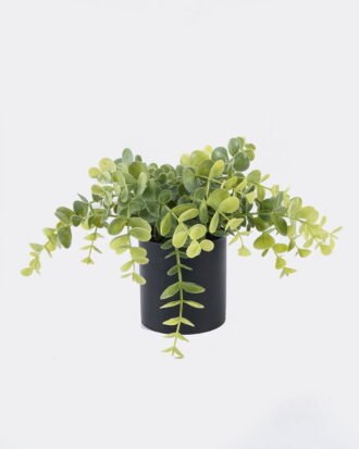 Artificial Plant 24*24*15cm Eucalyptus in PP pot GS-17725056