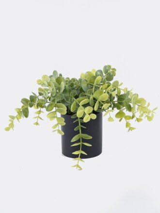 Artificial Plant 17*17*78cm Eucalyptus *3 single stem GS-17725055 2025SEP 3,000+ sqm showroom with thousands of artificial flowers, plants & trees ready for global sourcing.