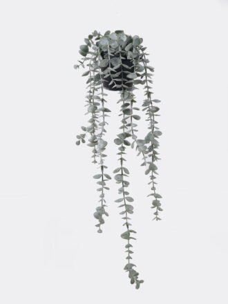 Artificial Plant 24*24*15cm Eucalyptus in PP pot GS-17725056 2025SEP 3,000+ sqm showroom with thousands of artificial flowers, plants & trees ready for global sourcing.