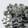 Artificial Plant 21*21*50cm Eucalyptus in PP pot GS-17725057 2025SEP YeahFlower is one of Chinese leading OEM manufacturers and exporters , supplying the silk flowers, wholesale artificial trees
