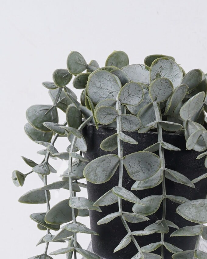 Artificial Plant 21*21*50cm Eucalyptus in PP pot GS-17725057 2025SEP YeahFlower is one of Chinese leading OEM manufacturers and exporters , supplying the silk flowers, wholesale artificial trees