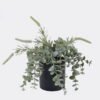Artificial Plant 23*23*17cm Eucalyptus in PP pot GS-17725062 2025SEP YeahFlower is one of Chinese leading OEM manufacturers and exporters , supplying the silk flowers, wholesale artificial trees