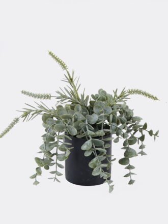 Artificial Plant 25*25*25cm Eucalyptus in PP pot GS-17725063 2025SEP 3,000+ sqm showroom with thousands of artificial flowers, plants & trees ready for global sourcing.