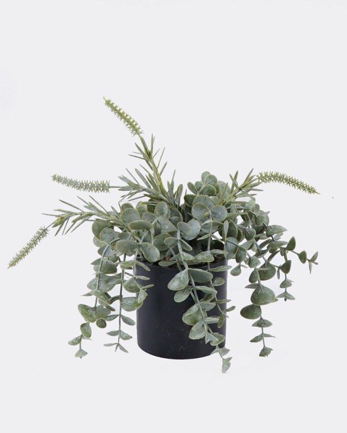 Artificial Plant 23*23*17cm Eucalyptus in PP pot GS-17725062 2025SEP YeahFlower is one of Chinese leading OEM manufacturers and exporters , supplying the silk flowers, wholesale artificial trees