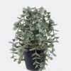 Artificial Plant 25*25*25cm Eucalyptus in PP pot GS-17725063 2025SEP YeahFlower is one of Chinese leading OEM manufacturers and exporters , supplying the silk flowers, wholesale artificial trees