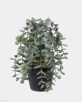Artificial Plant 25*25*25cm Eucalyptus in PP pot GS-17725063 2025SEP YeahFlower is one of Chinese leading OEM manufacturers and exporters , supplying the silk flowers, wholesale artificial trees