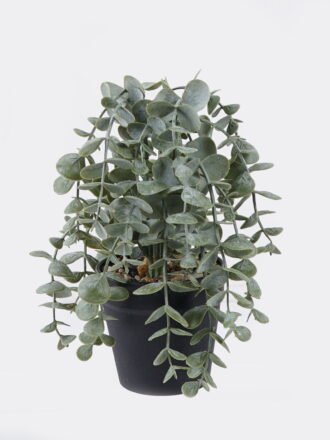 Artificial Plant 23*23*17cm Eucalyptus in PP pot GS-17725062 2025SEP 3,000+ sqm showroom with thousands of artificial flowers, plants & trees ready for global sourcing.