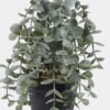 Artificial Plant 25*25*25cm Eucalyptus in PP pot GS-17725063 2025SEP YeahFlower is one of Chinese leading OEM manufacturers and exporters , supplying the silk flowers, wholesale artificial trees