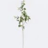 Artificial Plant 18*18*90cm Eucalyptus single stem GS-60425003 2025Oct YeahFlower is one of Chinese leading OEM manufacturers and exporters , supplying the silk flowers, wholesale artificial trees
