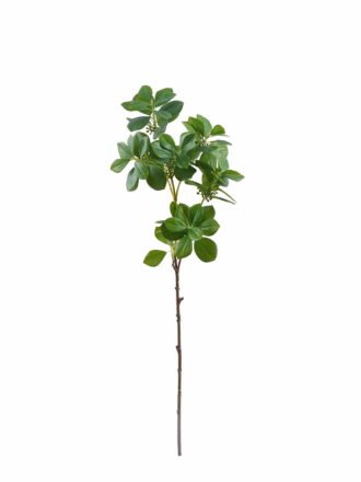Artificial Plant 18*18*80cm Ficus altissima single stem GS-64925024-G4 2025Oct 3,000+ sqm showroom with thousands of artificial flowers, plants & trees ready for global sourcing.