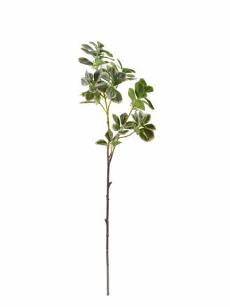 Artificial Plant 18*18*80cm Ficus altissima single stem GS-64925024-G1 2025Oct 3,000+ sqm showroom with thousands of artificial flowers, plants & trees ready for global sourcing.