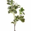 Artificial Plant 18*18*80cm Ficus altissima single stem GS-64925024-G4 2025Oct YeahFlower is one of Chinese leading OEM manufacturers and exporters , supplying the silk flowers, wholesale artificial trees