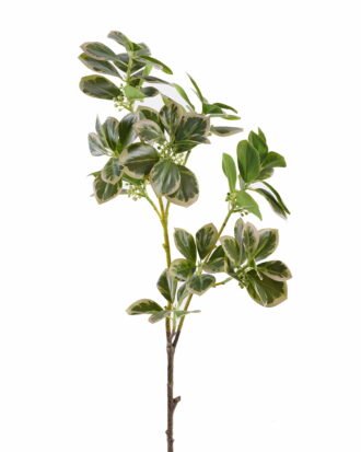 Artificial Plant 18*18*80cm Ficus altissima single stem GS-64925024-G4 2025Oct YeahFlower is one of Chinese leading OEM manufacturers and exporters , supplying the silk flowers, wholesale artificial trees Artificial Plant 18*18*80cm Ficus altissima single stem GS-64925024-G4 2025Oct YeahFlower is one of Chinese leading OEM manufacturers and exporters , supplying the silk flowers, wholesale artificial trees