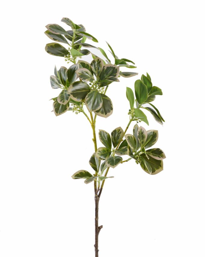 Artificial Plant 18*18*80cm Ficus altissima single stem GS-64925024-G4 2025Oct YeahFlower is one of Chinese leading OEM manufacturers and exporters , supplying the silk flowers, wholesale artificial trees