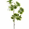 Artificial Plant 18*18*80cm Ficus altissima single stem GS-64925024 2025Oct YeahFlower is one of Chinese leading OEM manufacturers and exporters , supplying the silk flowers, wholesale artificial trees