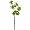Artificial Plant 18*18*80cm Ficus altissima single stem GS-64925024 2025Oct YeahFlower is one of Chinese leading OEM manufacturers and exporters , supplying the silk flowers, wholesale artificial trees