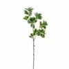 Artificial Plant 18*18*80cm Ficus altissima single stem GS-64925024 2025Oct YeahFlower is one of Chinese leading OEM manufacturers and exporters , supplying the silk flowers, wholesale artificial trees
