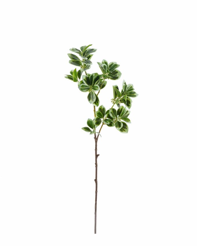 Artificial Plant 18*18*80cm Ficus altissima single stem GS-64925024 2025Oct YeahFlower is one of Chinese leading OEM manufacturers and exporters , supplying the silk flowers, wholesale artificial trees